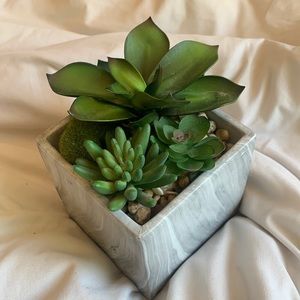 a succulent interior design decoration.